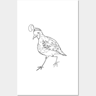 Quail Posters and Art